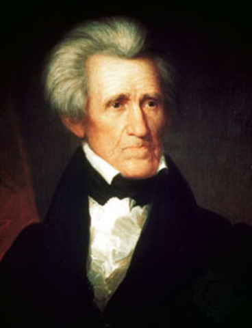 andrew jackson 3 Changes in voting qualifications and participation, the election of andrew jackson, and the formation of the democratic party—due largely to the organizational. andrew jackson 3 Changes in voting qualifications and participation, the election of andrew jackson, and the formation of the democratic party—due largely to the organizational.